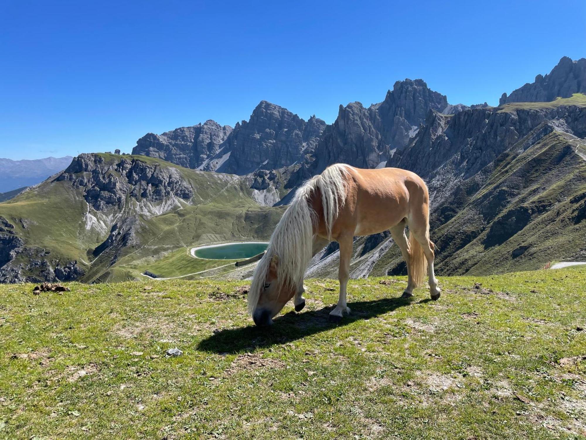 Bergblick Rundum Zirl By Base&Beyond Leilighet Eksteriør bilde